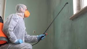 Why You Should Choose Our Mold Remediation Services in Oliver Springs, TN